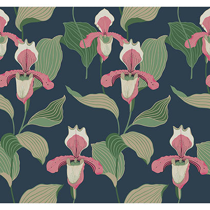Lady Slipper Wallpaper | Jeffrey Stevens