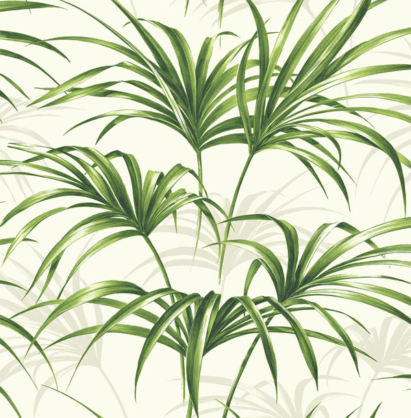 Malibu Ps Tropical Palm Leaf Tropical Botanical - Green and Off-White | Peel and Stick Removable Wallcovering