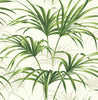 Malibu PS Tropical Palm Leaf Tropical Botanical - Green and Off-White | Peel and Stick Removable Wallpaper