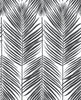 Malibu PS Paradise Palm Tropical Botanical - Ebony | Peel and Stick Removable Wallpaper
