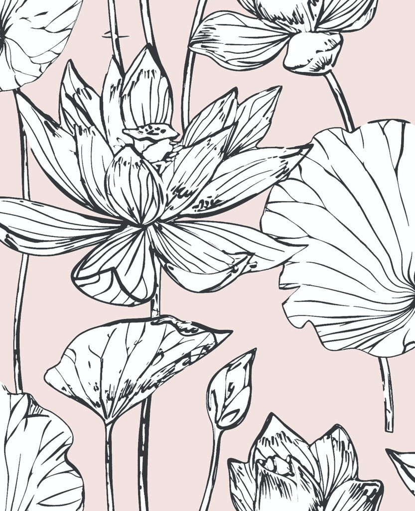 Malibu PS Lotus Floral Contemporary Floral - Blush & Ebony | Peel and Stick Removable Wallpaper