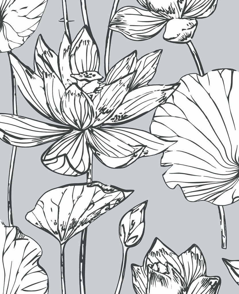 Malibu PS Lotus Floral Contemporary Floral - Gray & Ebony | Peel and Stick Removable Wallpaper