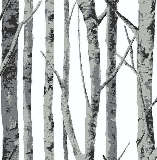 Malibu Ps Birch Trees Contemporary Botanical - Monochrome | Peel and Stick Removable Wallcovering