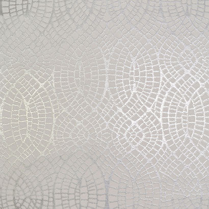 Tortoise Wallpaper | Jeffrey Stevens