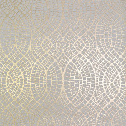 Tortoise Wallpaper | Jeffrey Stevens