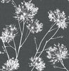Malibu PS One O'Clocks Traditional Botanical - Charcoal | Peel and Stick Removable Wallpaper
