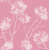 Malibu PS One O'Clocks Contemporary Botanical - Pink | Peel and Stick Removable Wallpaper