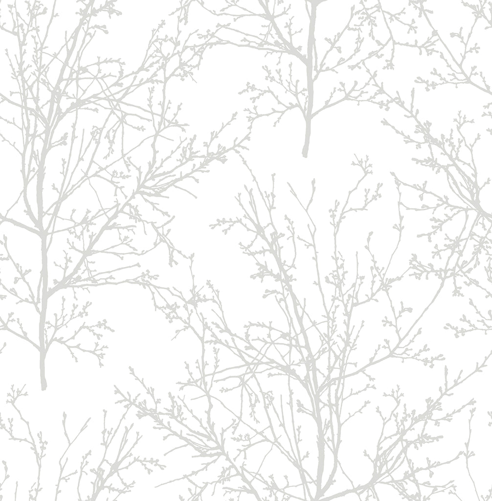 Malibu PS Tree Branches Contemporary Botanical - Pearl Gray | Peel and Stick Removable Wallpaper