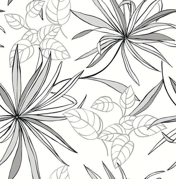 Malibu Ps Spider Plants Eclectic Botanical - Grayscale | Peel and Stick Removable Wallcovering