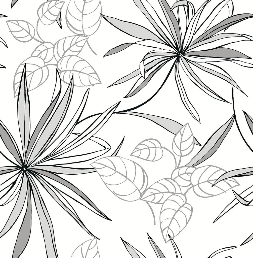 Malibu PS Spider Plants Eclectic Botanical - Grayscale | Peel and Stick Removable Wallpaper