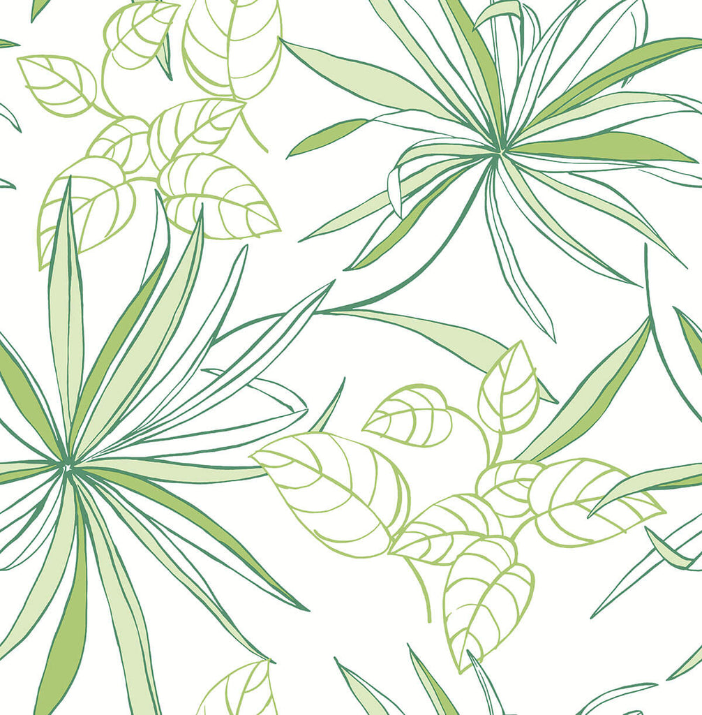 Malibu PS Spider Plants Eclectic Botanical - Green | Peel and Stick Removable Wallpaper