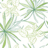 Malibu PS Spider Plants Eclectic Botanical - Green | Peel and Stick Removable Wallpaper