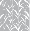 Malibu PS Bamboo Leaves Contemporary Botanical - Gray | Peel and Stick Removable Wallpaper