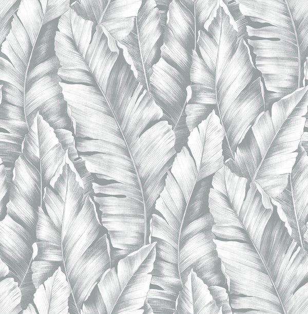 Malibu Ps Baha Banana Leaves Tropical Botanical - Daydream Gray | Peel and Stick Removable Wallcovering