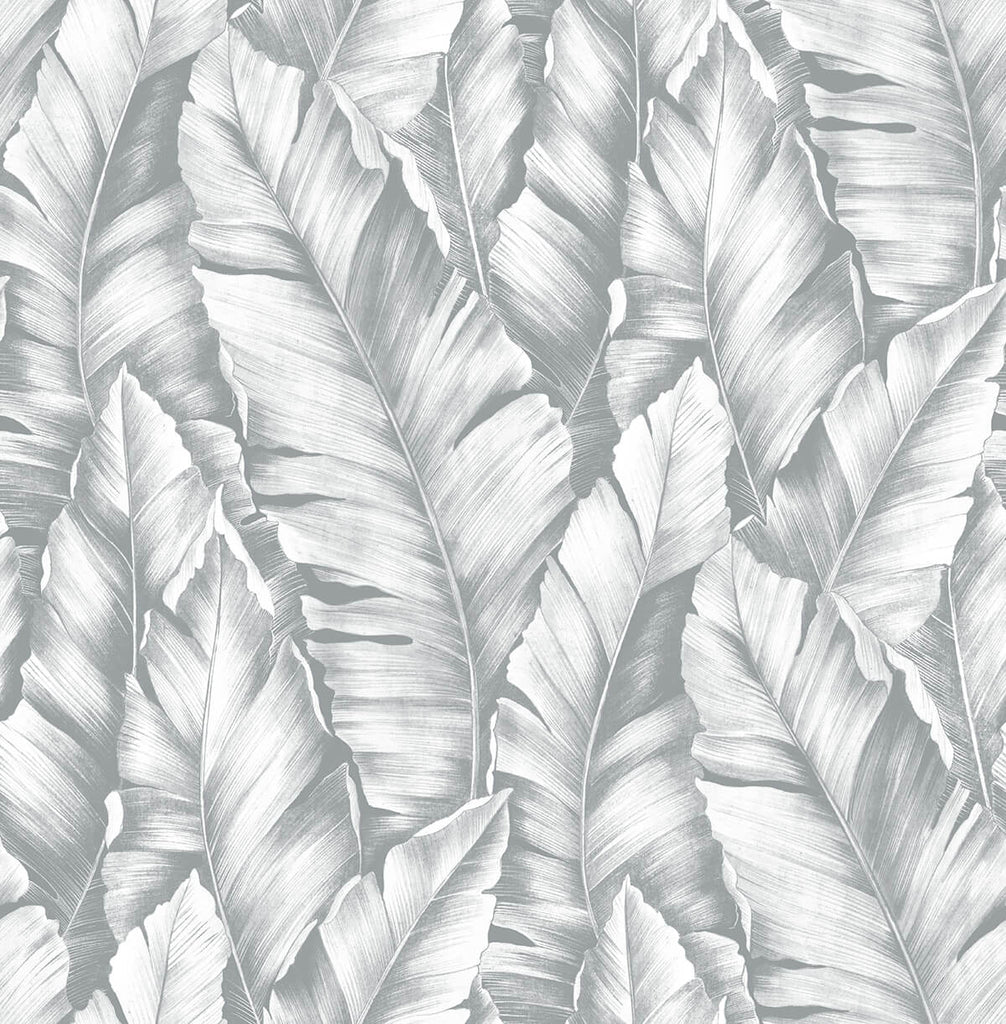 Malibu PS Baha Banana Leaves Tropical Botanical - Daydream Gray | Peel and Stick Removable Wallpaper