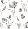 Malibu PS Tulip Toss Contemporary Floral - Black and White | Peel and Stick Removable Wallpaper