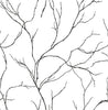 Malibu PS Delicate Branches Contemporary Botanical - Ebony | Peel and Stick Removable Wallpaper