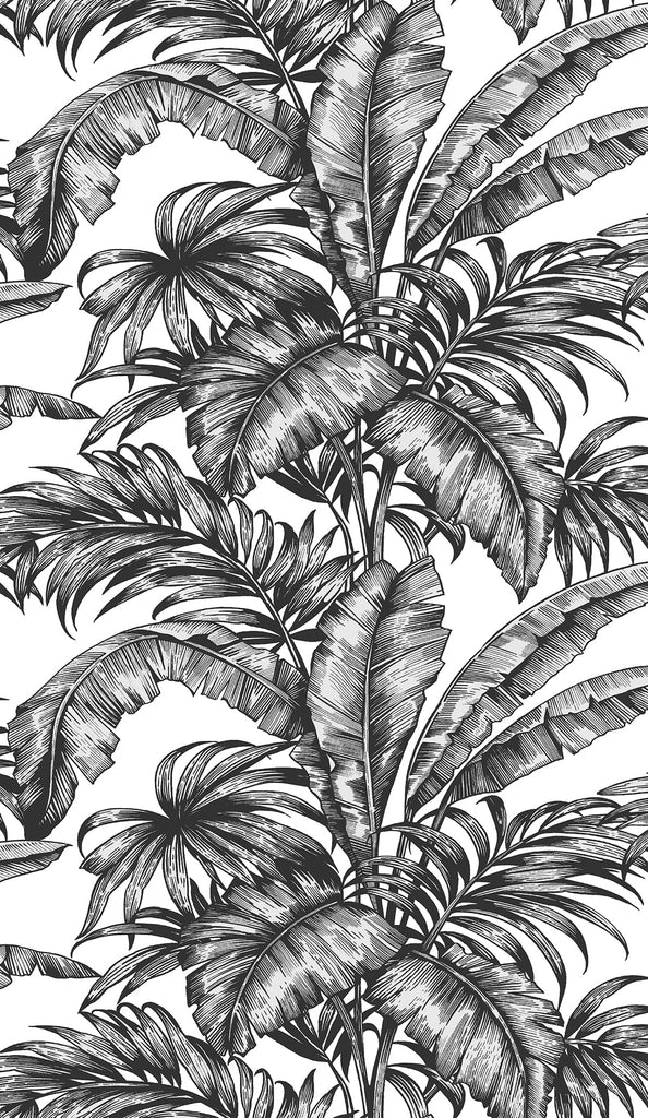 Malibu PS Palm Jungle Tropical Botanical - Ebony & Pearl | Peel and Stick Removable Wallpaper