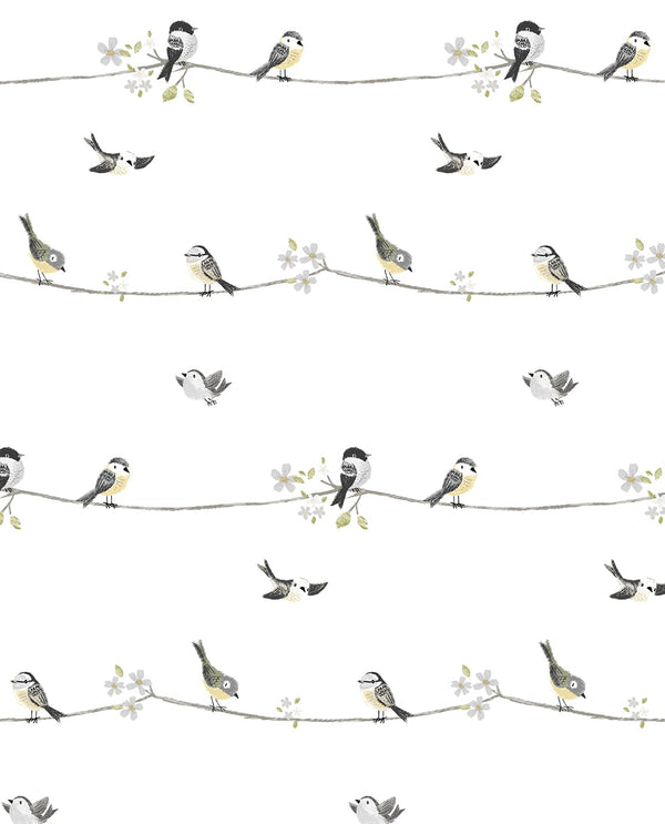 Malibu Ps Sweet Tweet Contemporary Animal Print - Charcoal & Buttercup | Peel and Stick Removable Wallcovering