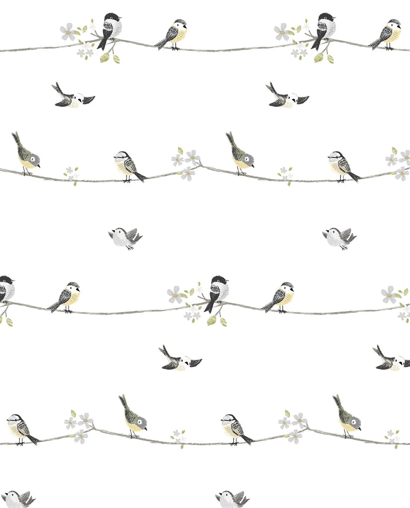 Malibu PS Sweet Tweet Contemporary Animal Print - Charcoal & Buttercup | Peel and Stick Removable Wallpaper