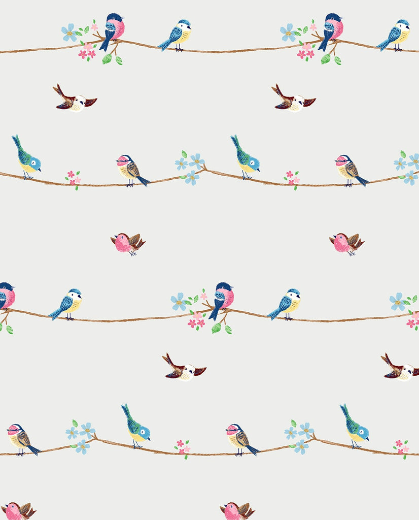 Malibu PS Sweet Tweet Contemporary Animal Print - Multicolored | Peel and Stick Removable Wallpaper