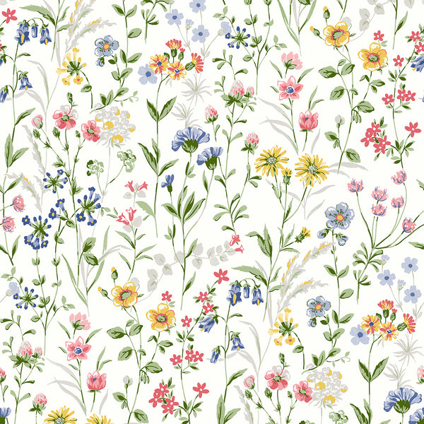 Malibu Ps Wildflowers Contemporary Floral - Multicolored | Peel and Stick Removable Wallcovering
