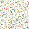 Malibu PS Wildflowers Contemporary Floral - Multicolored | Peel and Stick Removable Wallpaper