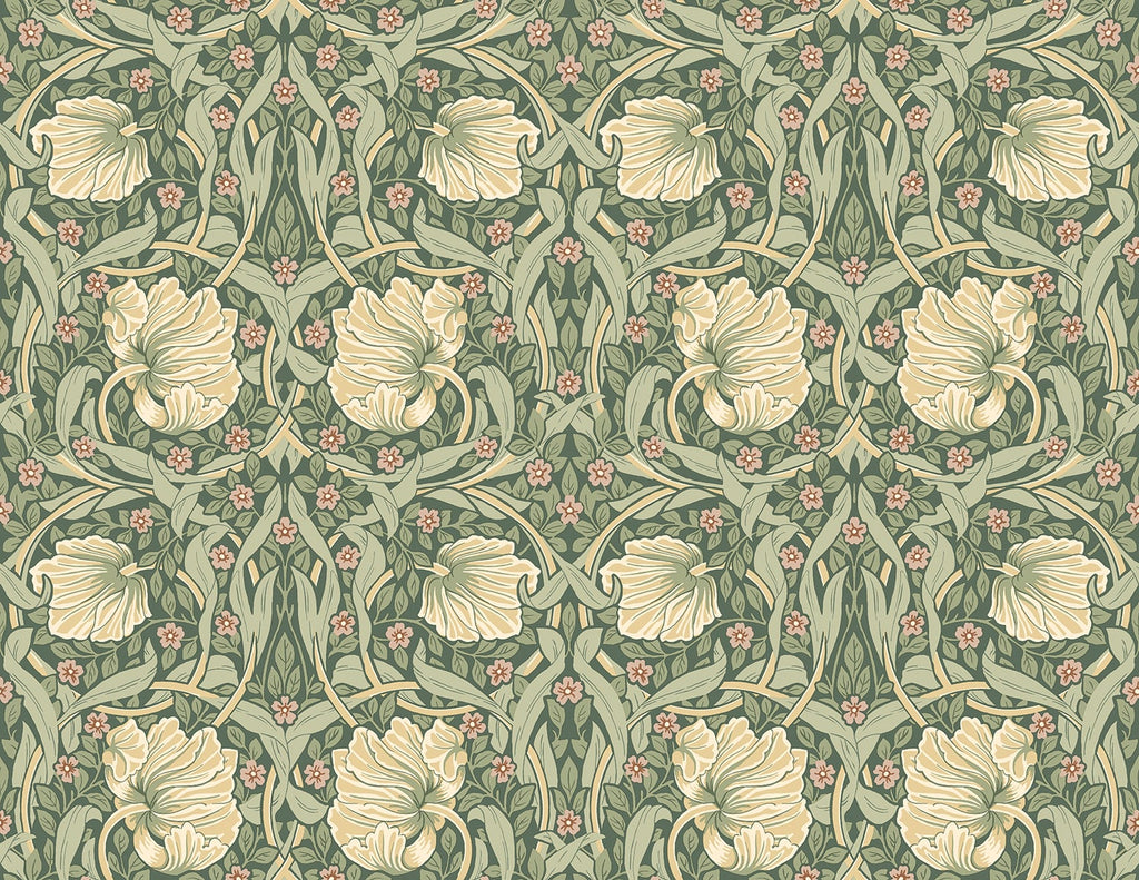 Malibu PS Pimpernel Floral Vintage Floral - Gardenia & Sage | Peel and Stick Removable Wallpaper