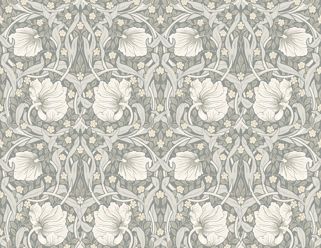 Malibu PS Pimpernel Floral Vintage Floral - Alloy Grey & Alabaster | Peel and Stick Removable Wallpaper