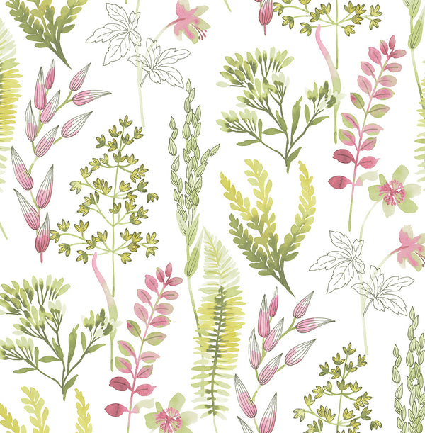 Malibu Ps Wild Garden Contemporary Botanical - Lemongrass & Posy Pink | Peel and Stick Removable Wallcovering