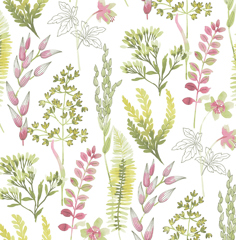 Malibu PS Wild Garden Contemporary Botanical - Lemongrass & Posy Pink | Peel and Stick Removable Wallpaper