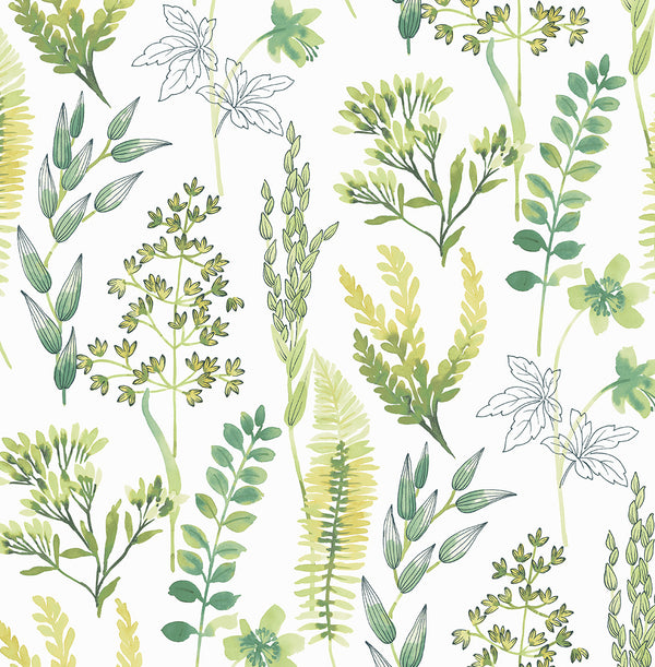 Malibu Ps Wild Garden Contemporary Botanical - Lemon Lime | Peel and Stick Removable Wallcovering
