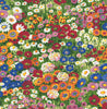 Malibu PS Floral Meadow Contemporary Floral - Multicolored | Peel and Stick Removable Wallpaper
