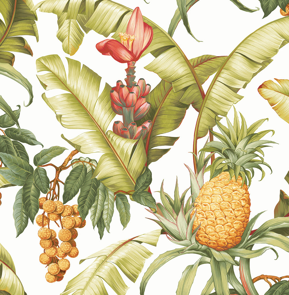 Malibu PS Pineapple Floral Tropical Botanical - Off-White | Peel and Stick Removable Wallpaper