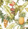 Malibu PS Pineapple Floral Tropical Botanical - Off-White | Peel and Stick Removable Wallpaper