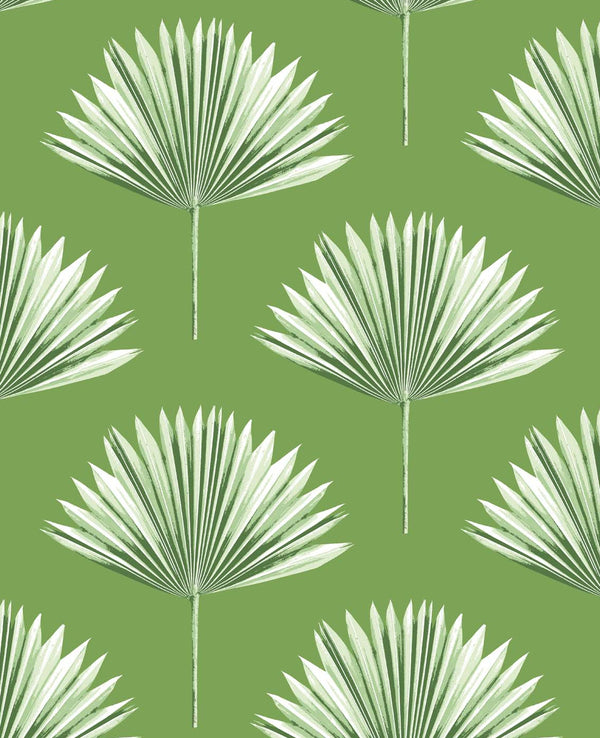 Malibu Ps Tropical Fan Palm Coastal Botanical - Green Sprout | Peel and Stick Removable Wallcovering