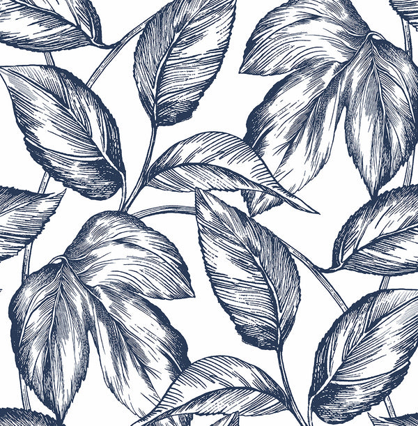 Malibu Ps Sketched Leaves Contemporary Botanical - Navy Blue | Peel and Stick Removable Wallcovering