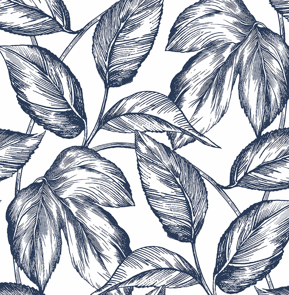 Malibu PS Sketched Leaves Contemporary Botanical - Navy Blue | Peel and Stick Removable Wallpaper