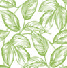 Malibu PS Sketched Leaves Contemporary Botanical - Greenery | Peel and Stick Removable Wallpaper
