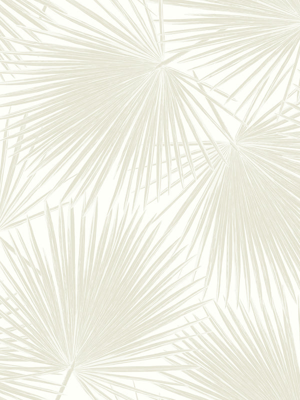Malibu Ps Aruba Palm Tropical Botanical - Sea Salt | Peel and Stick Removable Wallcovering