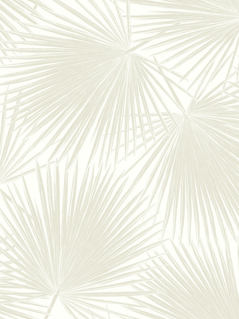 Malibu PS Aruba Palm Tropical Botanical - Sea Salt | Peel and Stick Removable Wallpaper