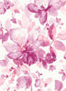 Malibu PS Watercolor Flower Contemporary Floral - Pink | Peel and Stick Removable Wallpaper