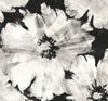 Malibu PS Graphic Floral Contemporary Floral - Ebony & Champagne | Peel and Stick Removable Wallpaper