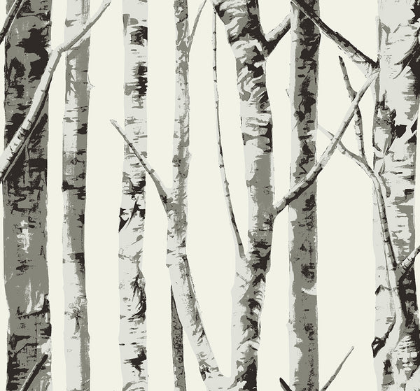 Malibu Ps Winter Birch Rustic Botanical - Greystone | Peel and Stick Removable Wallcovering