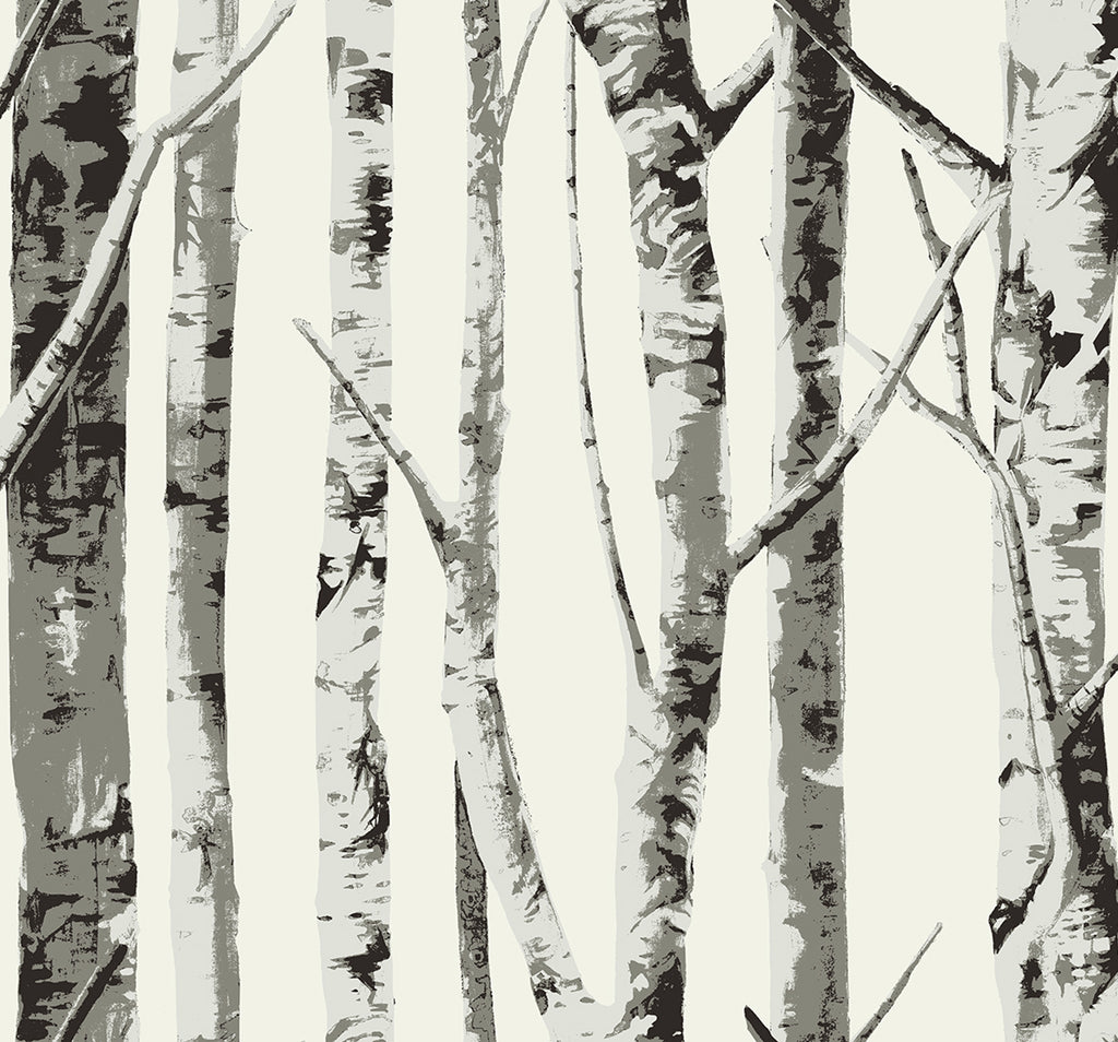Malibu PS Winter Birch Rustic Botanical - Greystone | Peel and Stick Removable Wallpaper
