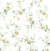 Malibu PS Blossom Floral Trail Contemporary Floral - Wheatfield & Sage | Peel and Stick Removable Wallpaper