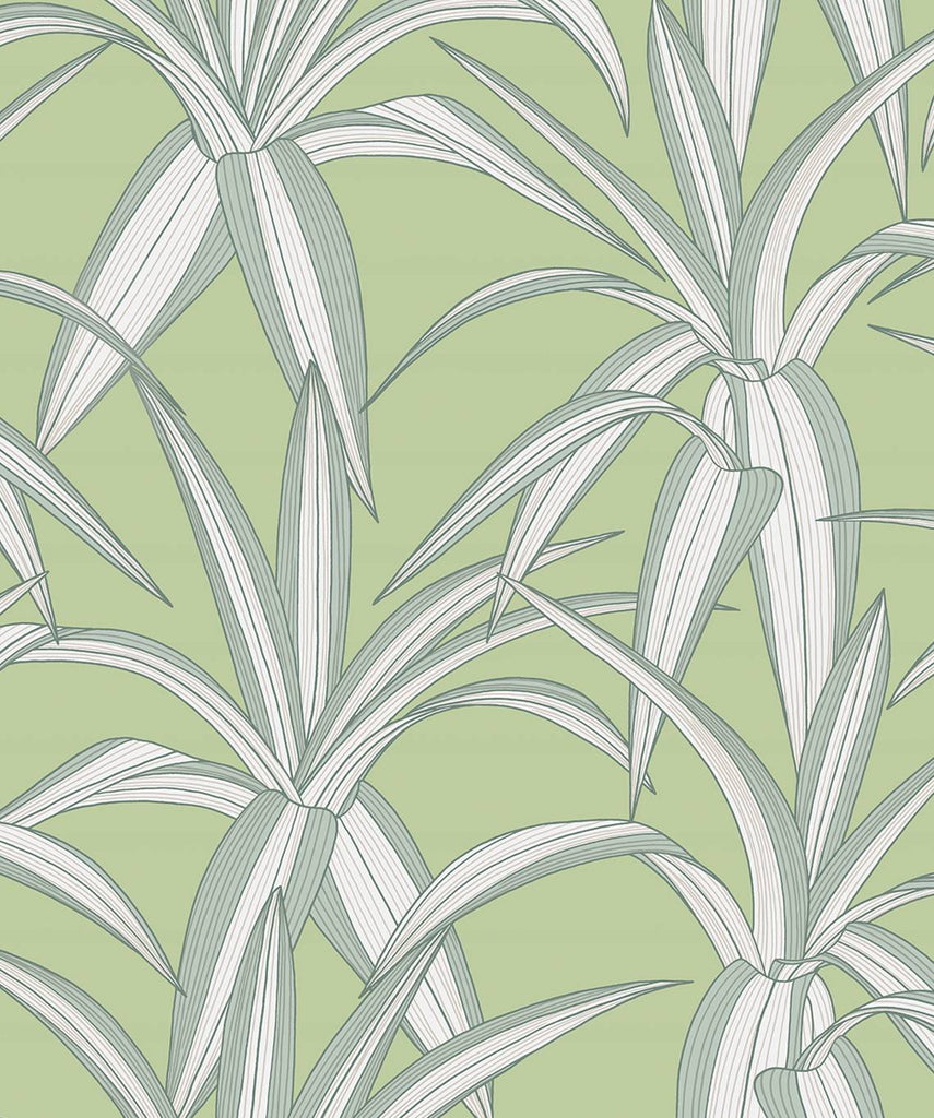 Malibu PS Tossed Cradle Plant Tropical Botanical - Spring Green | Peel and Stick Removable Wallpaper