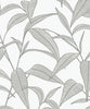 Malibu PS Pinstripe Leaf Trail Tropical Botanical - Greystone | Peel and Stick Removable Wallpaper