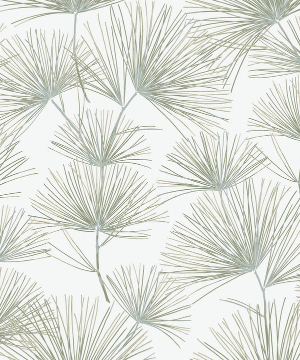 Malibu Ps Pine Needles Contemporary Botanical - Aloe Green | Peel and Stick Removable Wallcovering