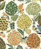 Malibu PS Blooming Bulbs Contemporary Floral - Melon & Spruce | Peel and Stick Removable Wallpaper